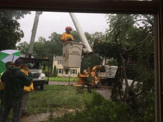 Dan Moore and his crew were amazing. Tree fell at 4 am, they were here at 8! They were so meticulous and cleaned up EVERY branch