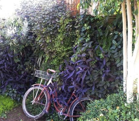 Outdoor Living Walls & Vertical Gardens