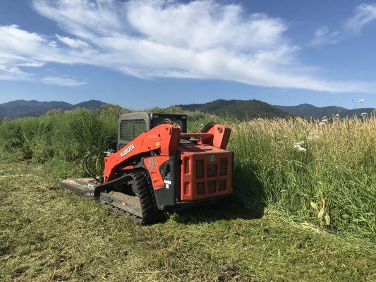 mowing a very overgrown field in the springtime to reduce risk of fire