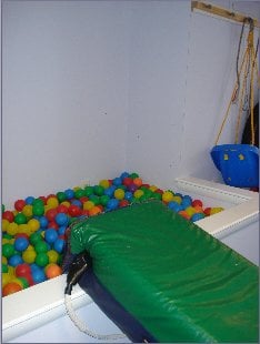 The ball pit in one of our two large treatment "gyms"