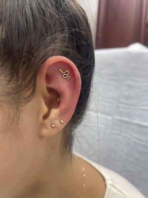 Flat piercing with a 14kt gold rattle snake top done by OSH