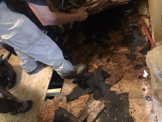 Ripped out kitchen cabinets and floor