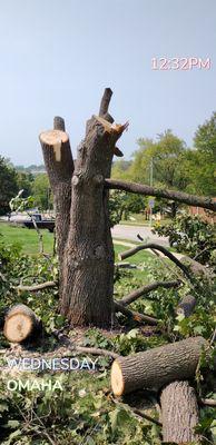 Tree Removal Services in Bellevue, NE.

Tree Removal Services in Omaha, NE.

www.westomahatreeservice.com

Westomahatreeservice@gmail.com