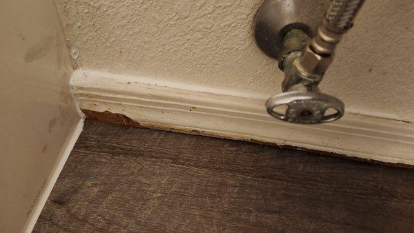 Behind toilet damaged floor boards