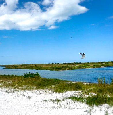 Lovely view on Anclote Island