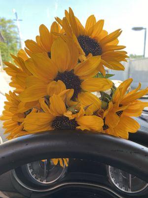 Fresh Cut Sun flowers