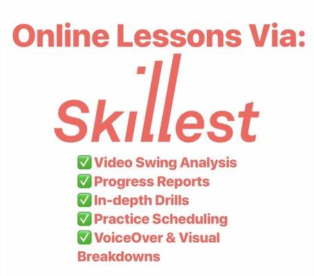 Online Lesson Info