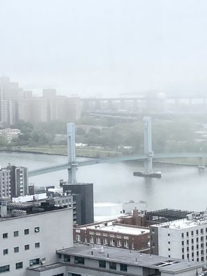 Foggy rainy weather until Sunday. 05/13/22