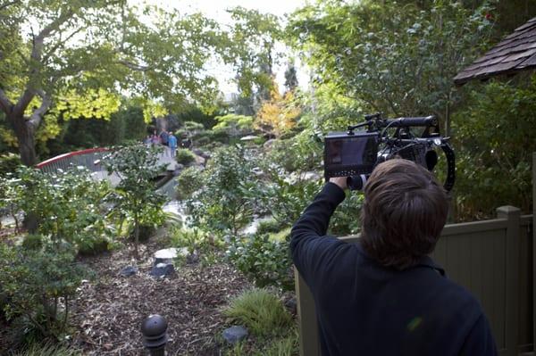 Filming at the Zoo