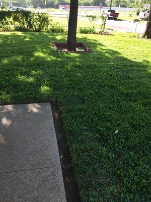 sod installation