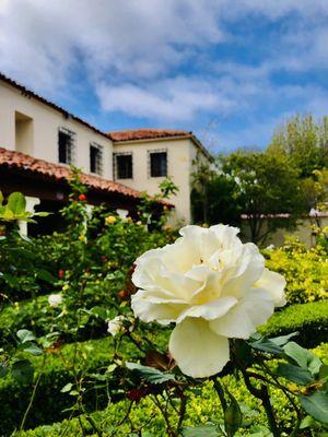 Carmelite Monastery