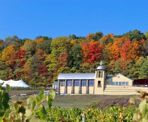 heron hill winery-fall