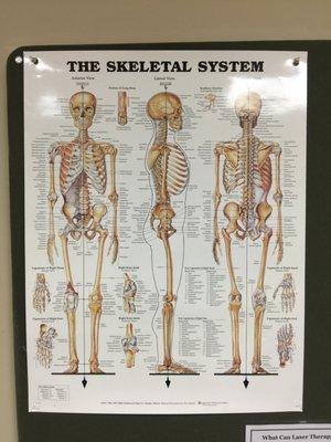 Spine & Sport Biomechanical Rehabilitation Center