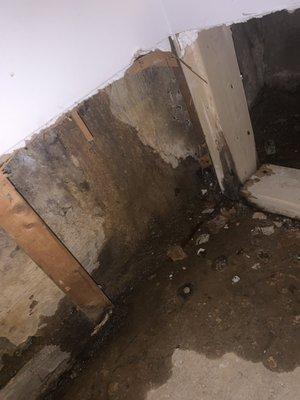 Leak from foundation wall in basement