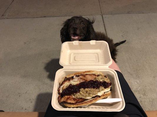 Derby is eyeing this amazing Gobbler sandwich!!