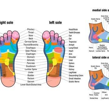 Exploring the World of Reflexology Pressure Points