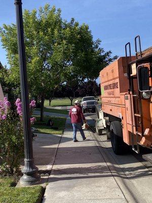 Cleaning up the area after tree service.