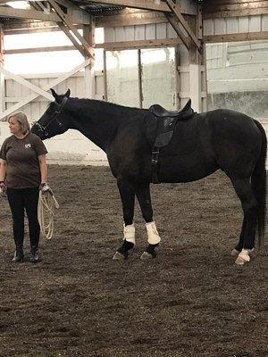 Kelly Obritz working with Sawyer