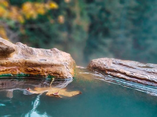 Umpqua Hot Springs