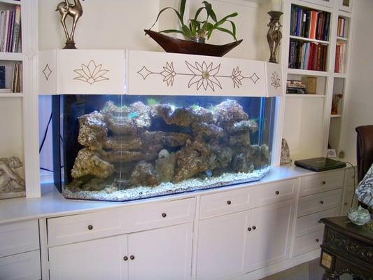 Saltwater aquarium