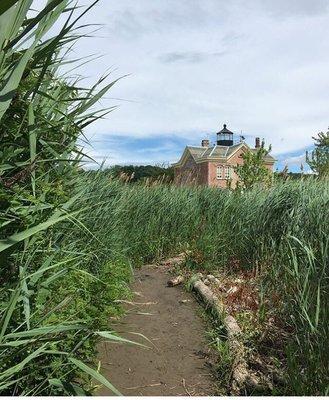 The trail leading up to the lighthouse.