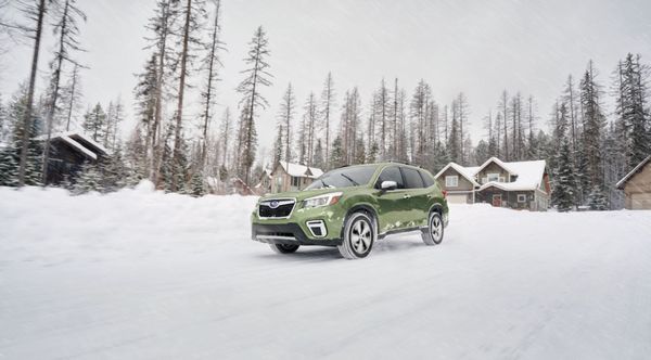 Introducing the 2019 Subaru Forester