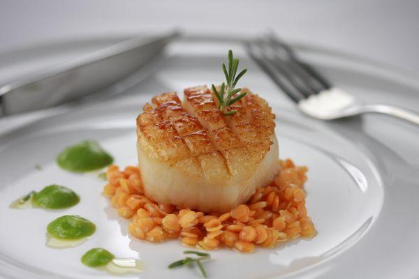 Seared Scallop Marco Porceddu Catering Private Chefs