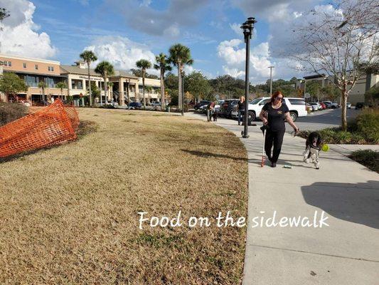 Food distractions as well as construction, cars going by, and much more.