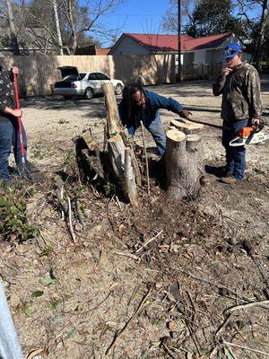 Pitts Tree Service