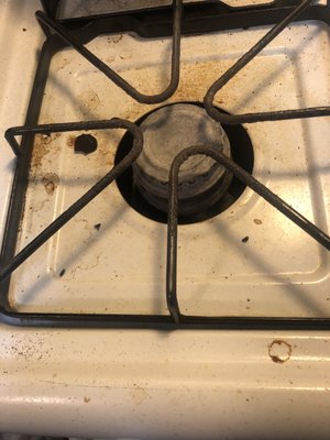 Mice dropping on stove