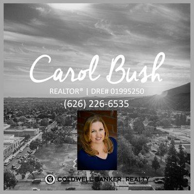 Carol Bush - The Bush Capitano Team