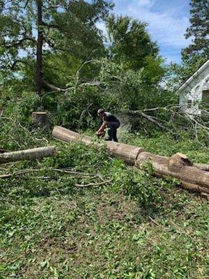 Tree Removal & Land Clearing