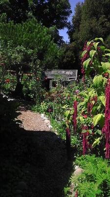 Jo Ann also has a beautiful and peacefull garden. Ask for a tour.