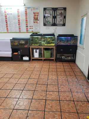 Fish tanks