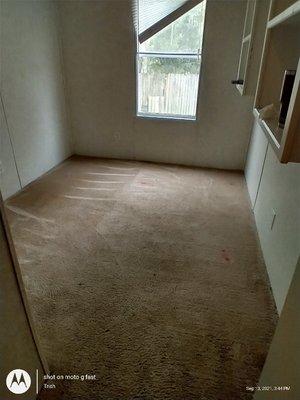 Carpet was stained before this is after