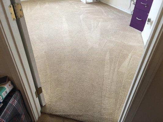 New Braunfels carpet cleaning after picture