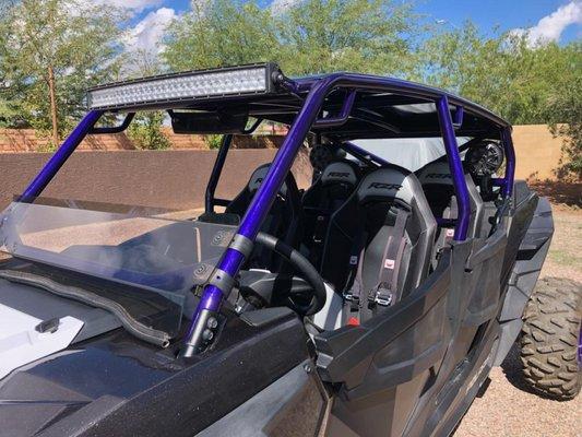 Candy Purple RZR Cage