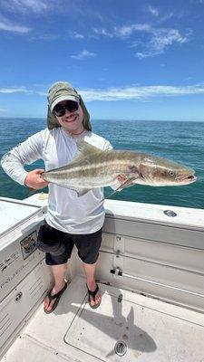 Cobia