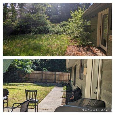 Backyard, before and after