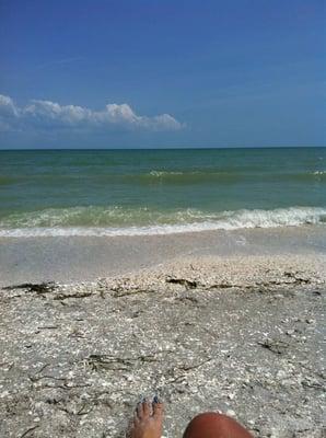 This could be your view if you had a home in Florida....