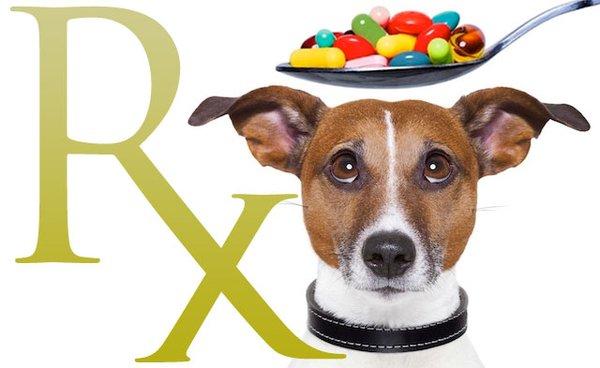 Your pet deserves the best! We can help you relieve the stress of dispensing medicine.  Call us today (310) 530-0831