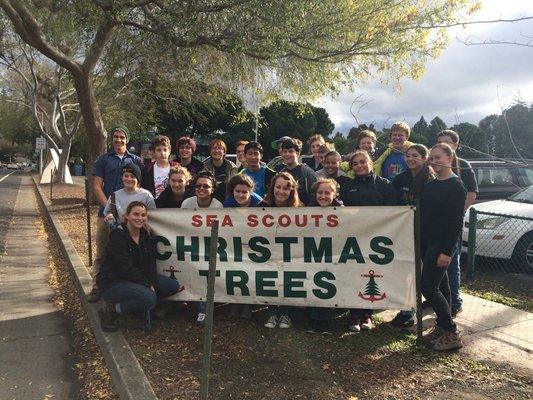 Come down and support the Sea Scouts by buying a Christmas tree!