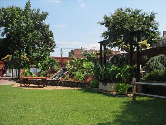 Back side of Courtyard.