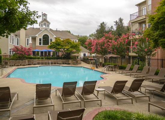 Spend your day next to the pool and relax