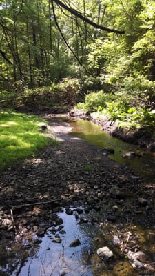 So peaceful in the park