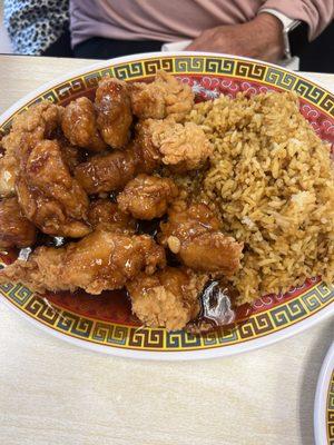 General chicken