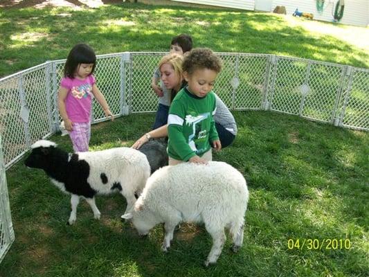 One day we had a petting zoo visit.