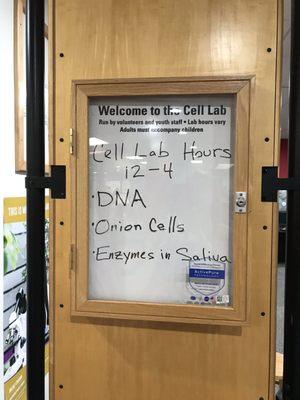 Lab information