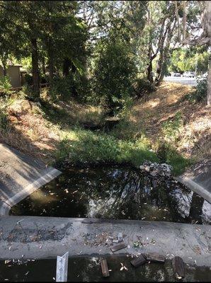 the walkway on the guerneville rd. side of the apt complex, on the way to the SMART train station