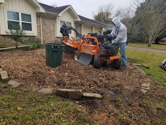 Stump removal